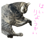 846415378