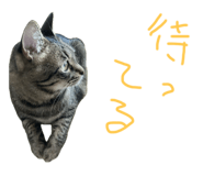 846415381