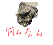 846415382