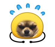 846415466
