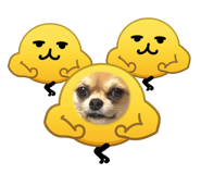 846415488
