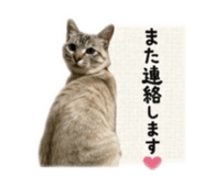 846415676