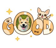 846415779