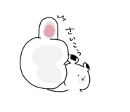 846424697