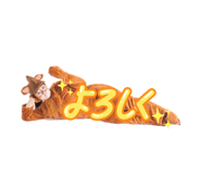 846424861