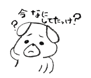 846425164