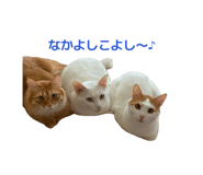 846425646