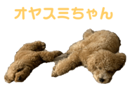 846425682