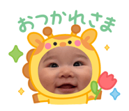846425694