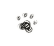 846425952