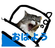 846426044