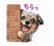 846426790