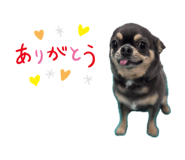 846426986