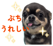 846426993