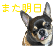 846426995