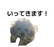 846427064