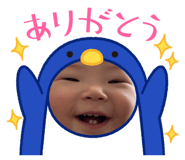 846428308