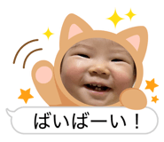 846428312