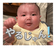 846428825