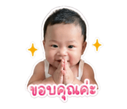 846429442
