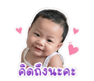 846429445