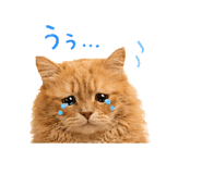846430301