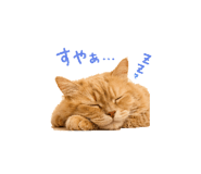 846430302