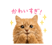 846430308
