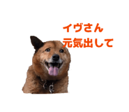 846430526