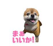 846430528