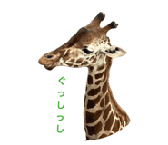 846430869