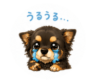 846431338