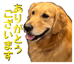 846431474