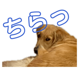 846431483