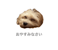 846431832