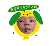 846431945