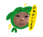 846431947