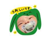 846431951