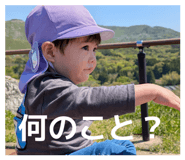 846432552