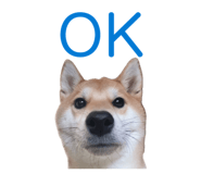 846432617