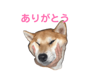 846432618