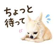 846433625