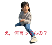 846434067