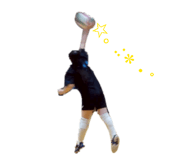 846434290