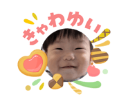 846436577