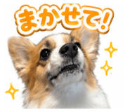846437068