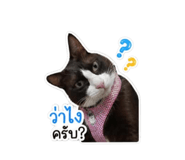 846438693