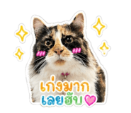 846439217