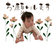 846439913