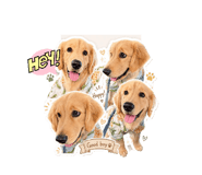 846440009